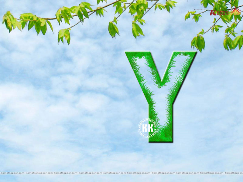 y wallpapers download, y wallpapers pics, y wallpapers for mobile